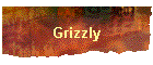 Grizzly